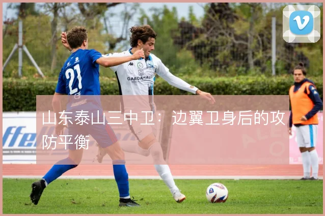山东泰山三中卫：边翼卫身后的攻防平衡