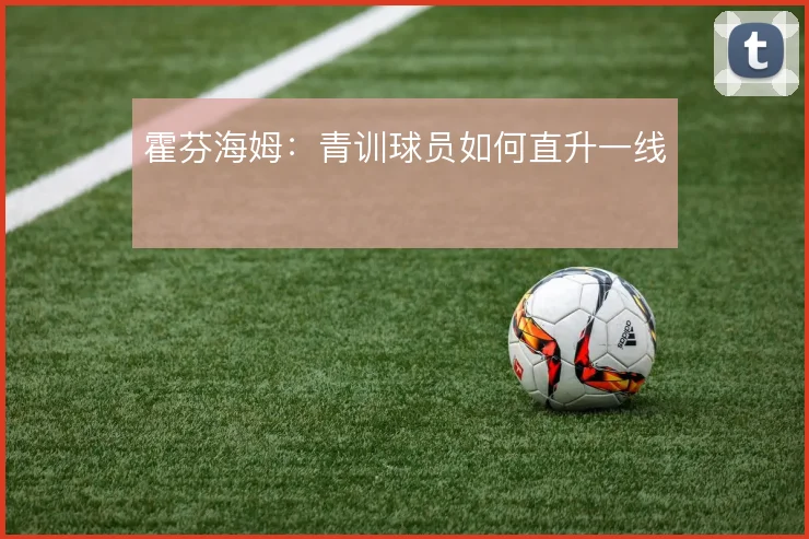 霍芬海姆：青训球员如何直升一线