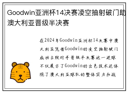 Goodwin亚洲杯14决赛凌空抽射破门助澳大利亚晋级半决赛