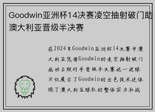 Goodwin亚洲杯14决赛凌空抽射破门助澳大利亚晋级半决赛